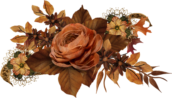 Dried Flowers Illustration 