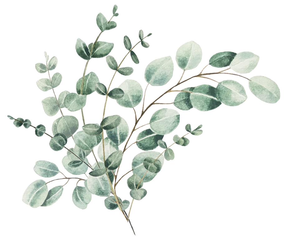 Watercolor greenery  eucalyptus bouquet